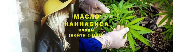 прущий лед Михайлов