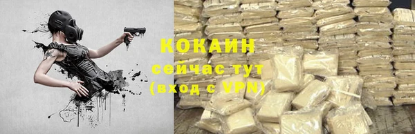 прущий лед Михайлов